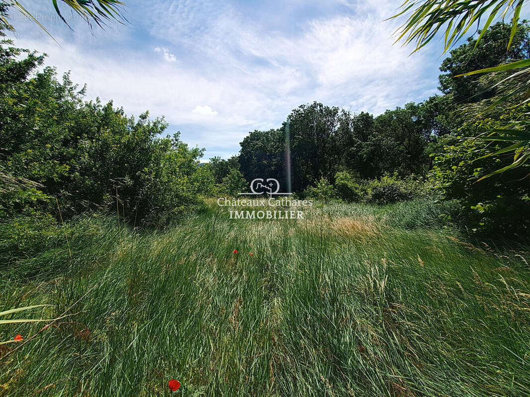 Terrain à SAINT-PAUL-DE-FENOUILLET