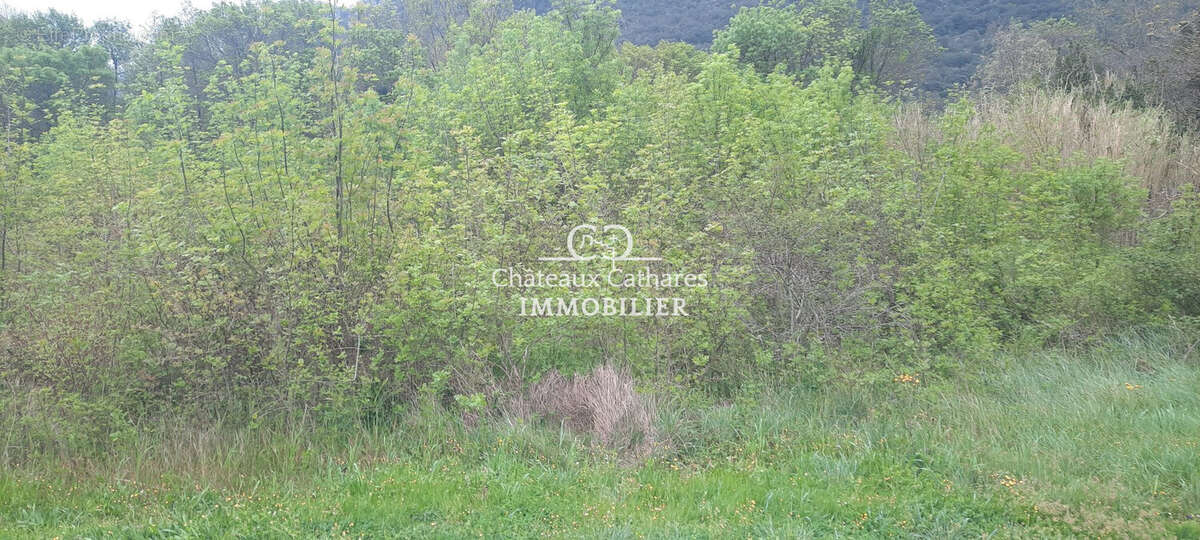 Terrain à SAINT-PAUL-DE-FENOUILLET