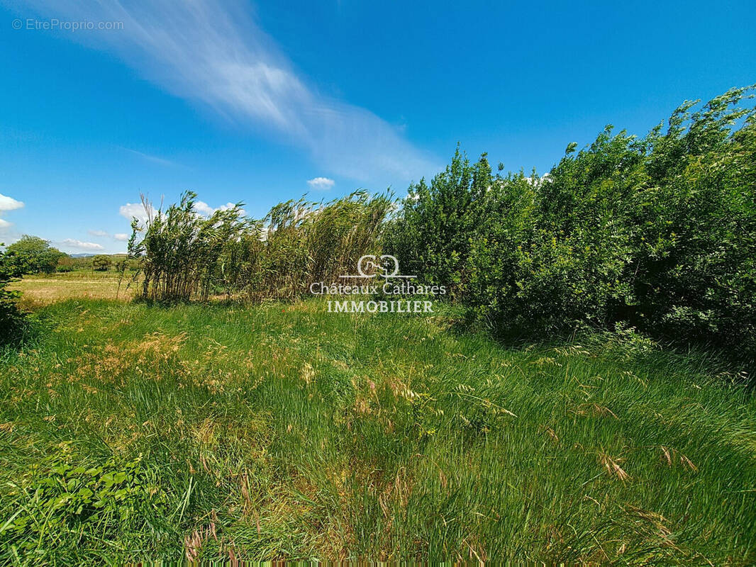 Terrain à SAINT-PAUL-DE-FENOUILLET