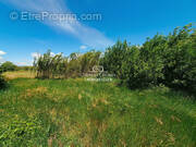 Terrain à SAINT-PAUL-DE-FENOUILLET