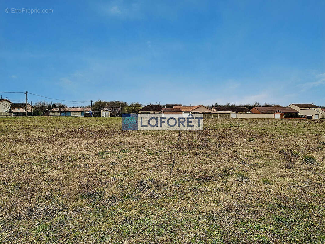 Terrain à ROCHES-SUR-MARNE