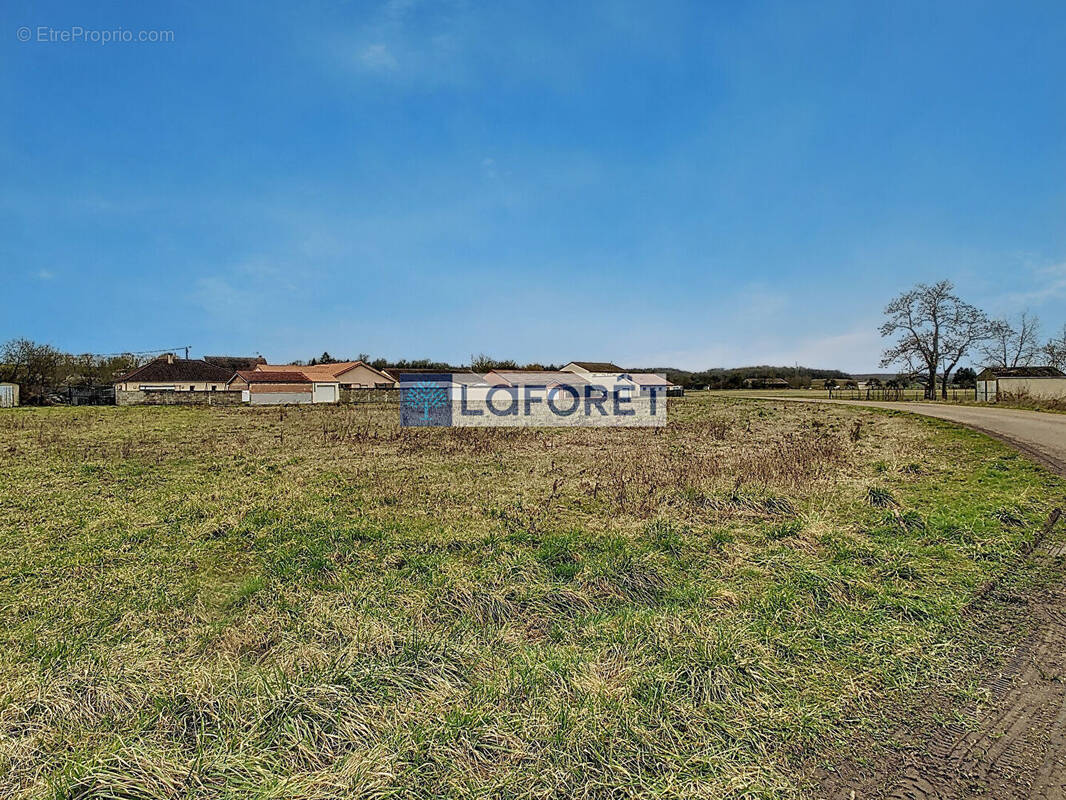 Terrain à ROCHES-SUR-MARNE