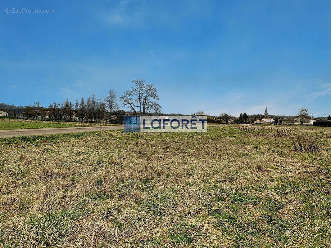 Terrain à ROCHES-SUR-MARNE