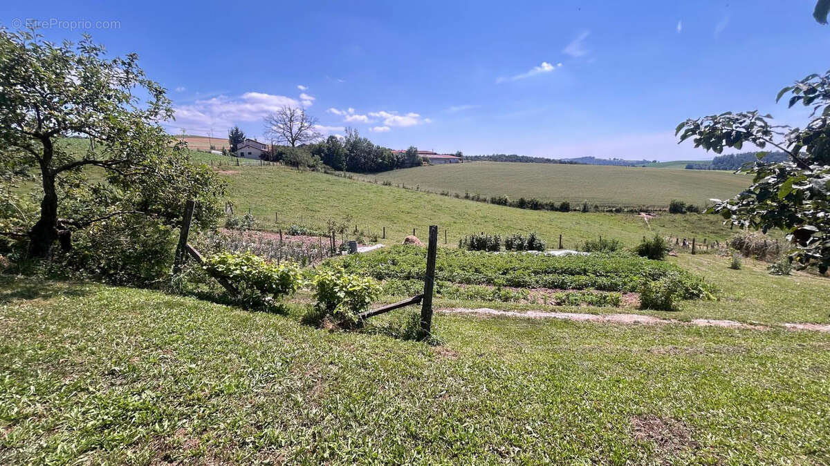 Maison à CHAZELLES-SUR-LYON
