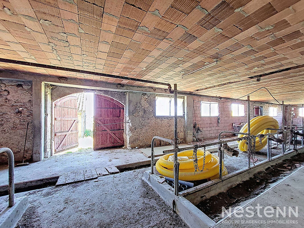 Maison à LARROQUE-ENGALIN