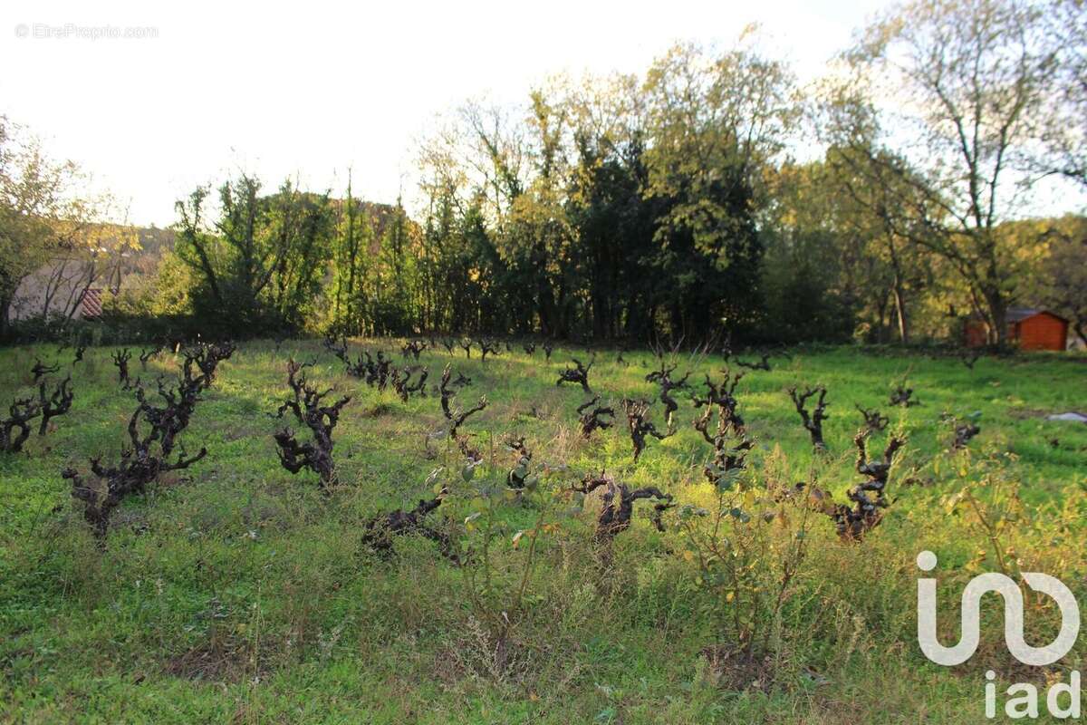 Photo 5 - Terrain à CESSENON-SUR-ORB