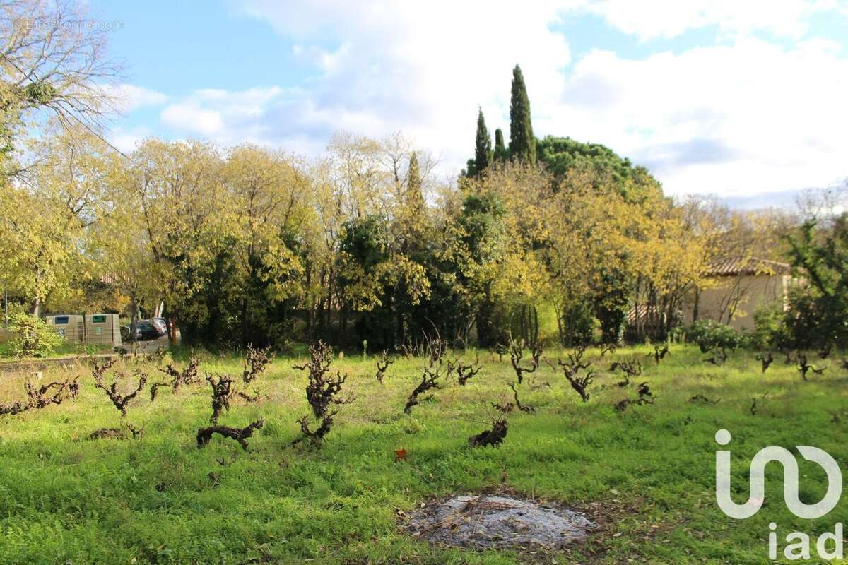 Photo 6 - Terrain à CESSENON-SUR-ORB