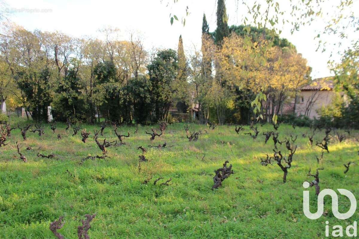 Photo 9 - Terrain à CESSENON-SUR-ORB