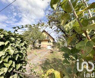 Photo 1 - Maison à BERG