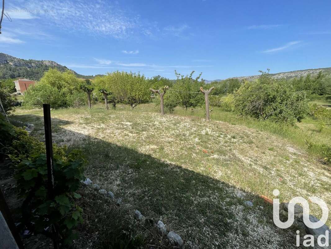 Photo 7 - Maison à TAUTAVEL