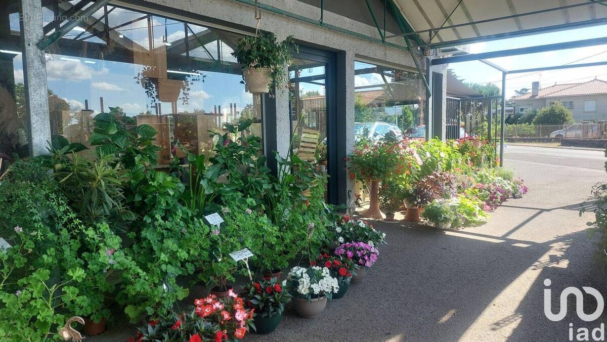 Photo 1 - Commerce à SAINT-MAGNE-DE-CASTILLON