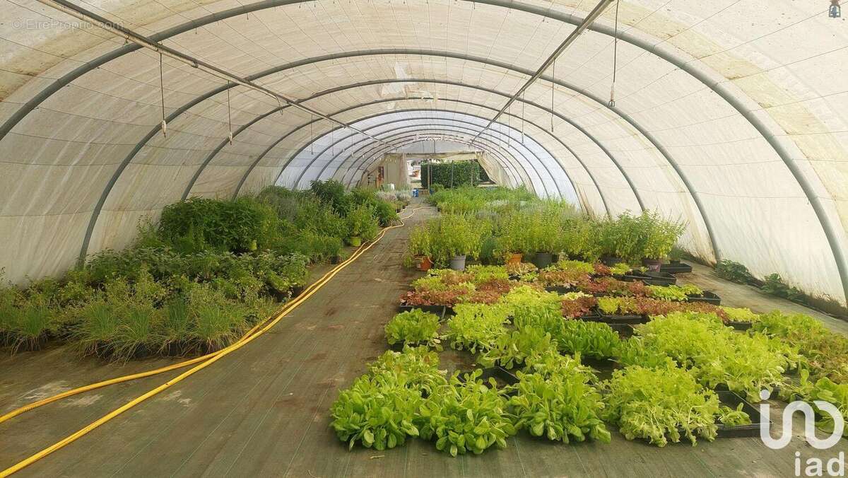 Photo 3 - Commerce à SAINT-MAGNE-DE-CASTILLON