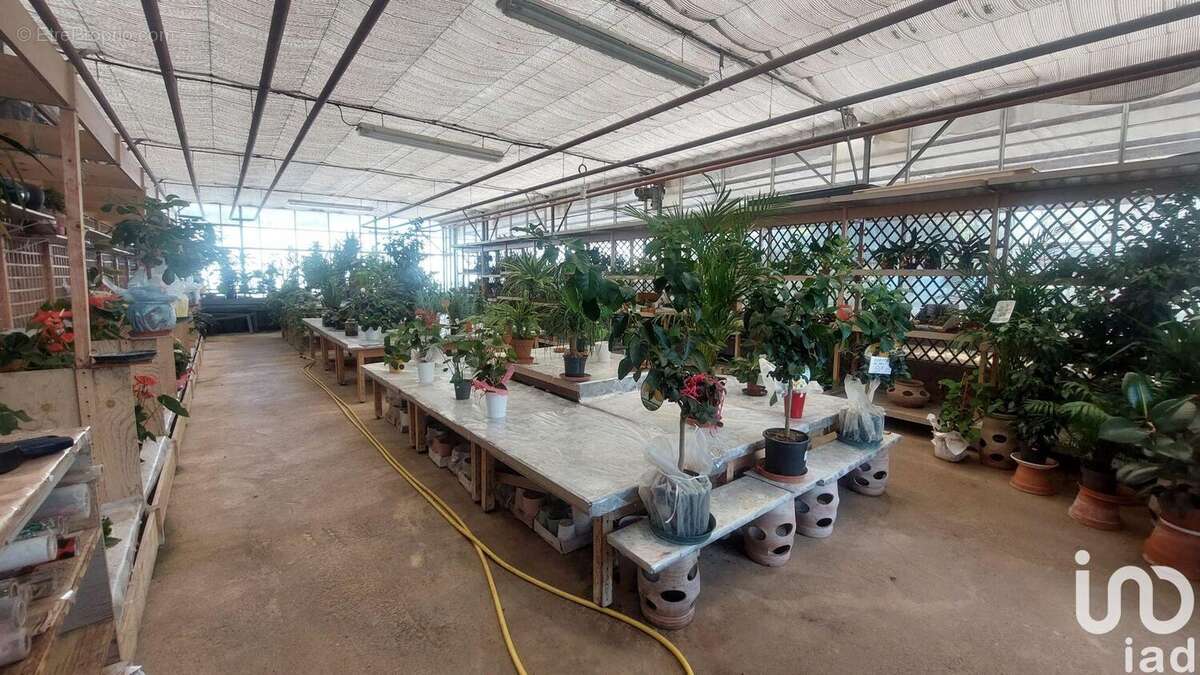 Photo 4 - Commerce à SAINT-MAGNE-DE-CASTILLON