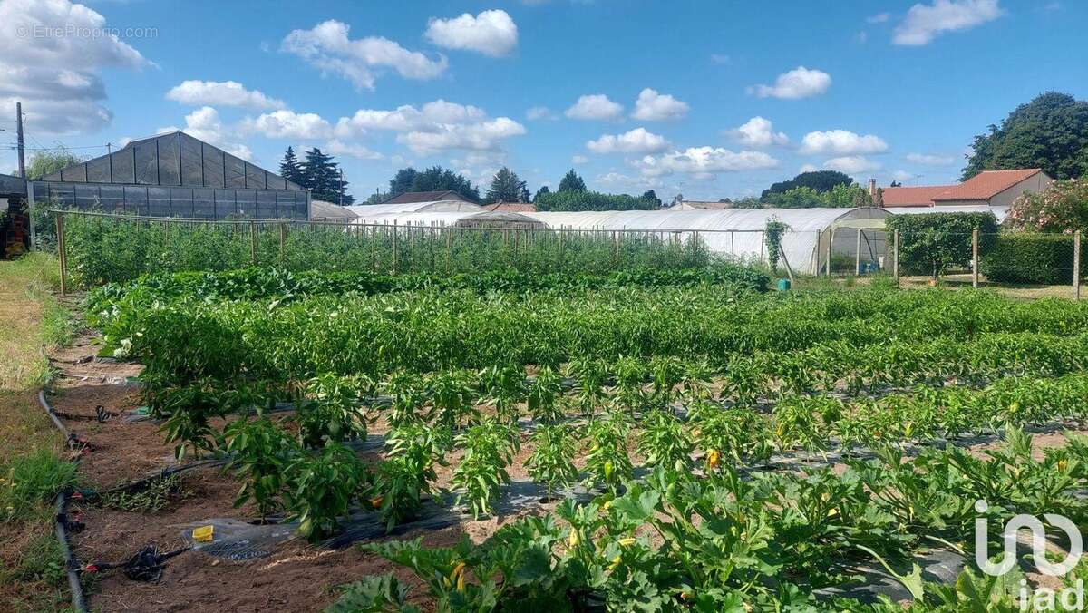 Photo 5 - Commerce à SAINT-MAGNE-DE-CASTILLON