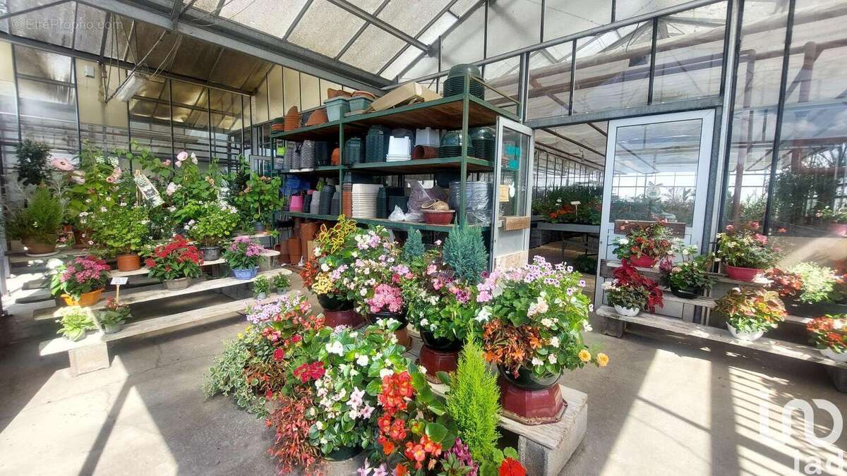 Photo 6 - Commerce à SAINT-MAGNE-DE-CASTILLON