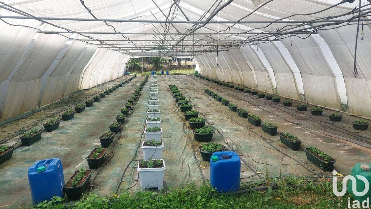 Photo 8 - Commerce à SAINT-MAGNE-DE-CASTILLON