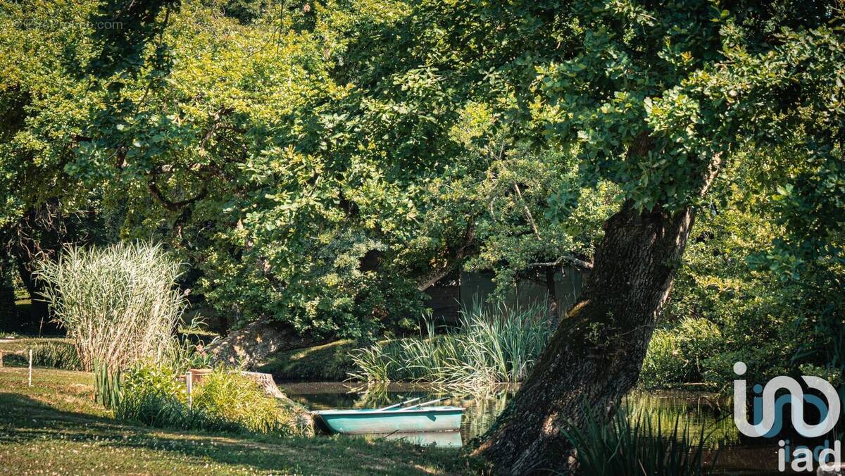 Photo 1 - Maison à ECULLY