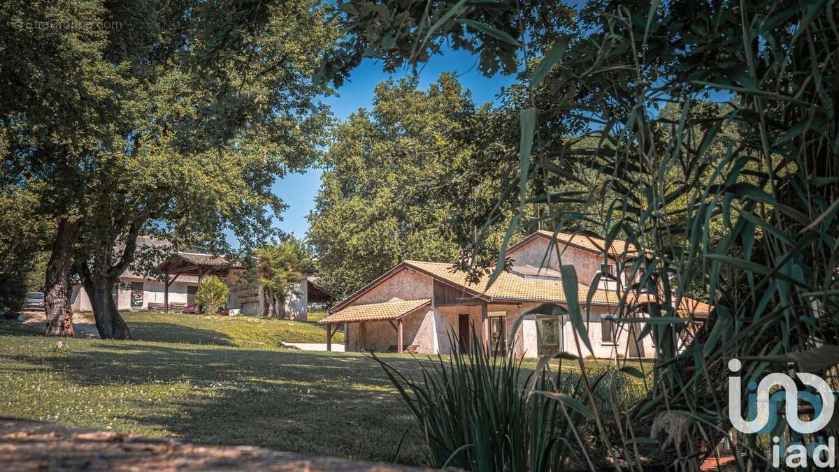 Photo 2 - Maison à ECULLY