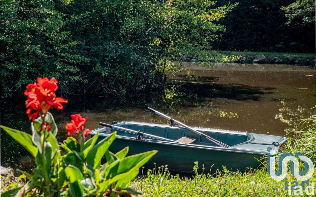 Photo 5 - Maison à ECULLY