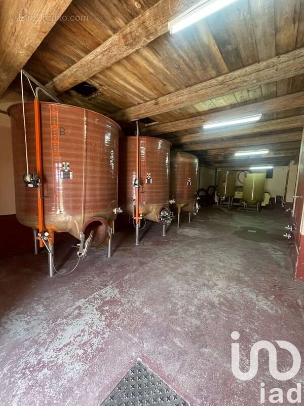 Photo 2 - Appartement à AGEL