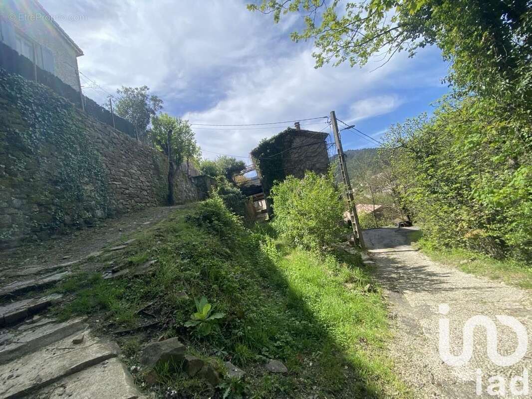 Photo 3 - Maison à ROBIAC-ROCHESSADOULE