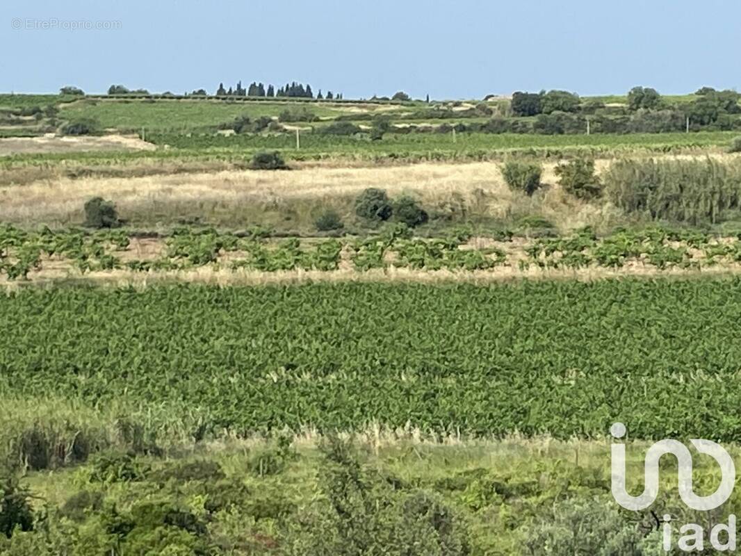 Photo 1 - Terrain à MAGALAS