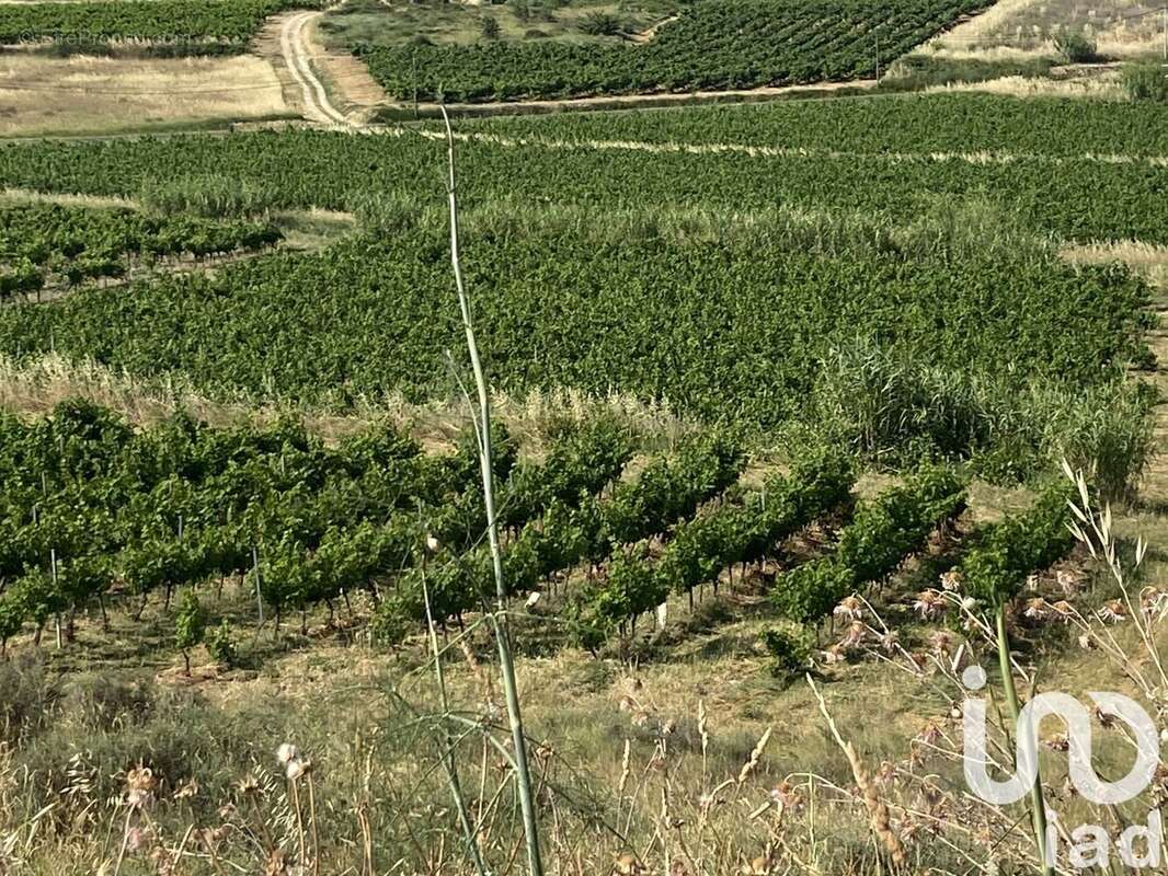 Photo 3 - Terrain à MAGALAS