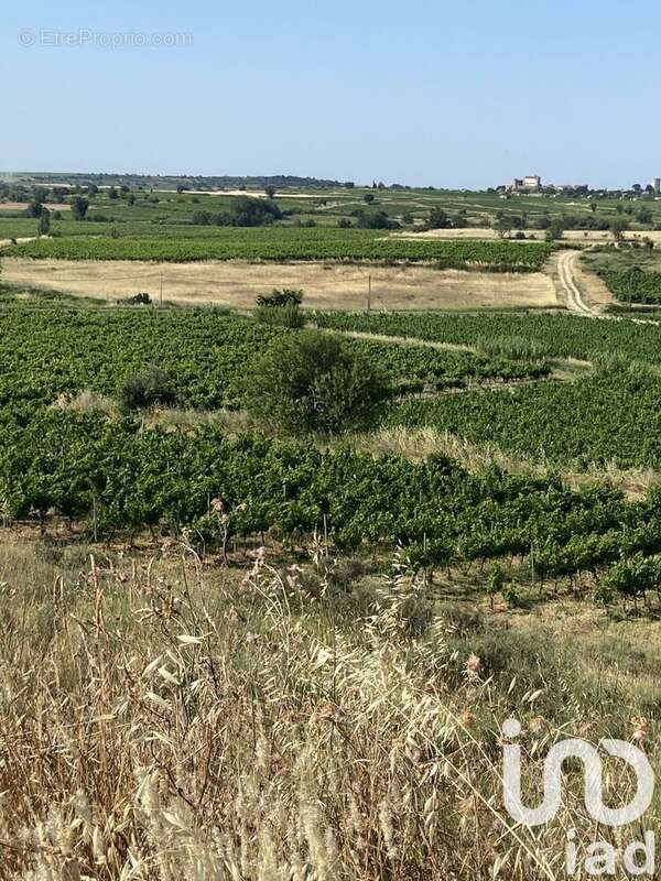 Photo 5 - Terrain à MAGALAS