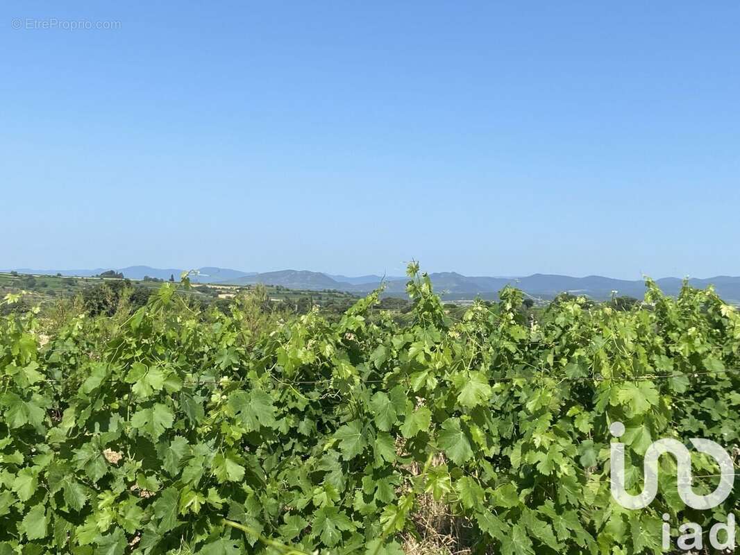 Photo 8 - Terrain à MAGALAS