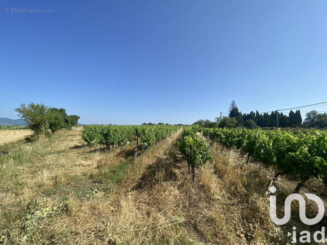 Photo 1 - Terrain à MAGALAS