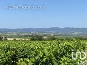 Photo 1 - Terrain à MAGALAS