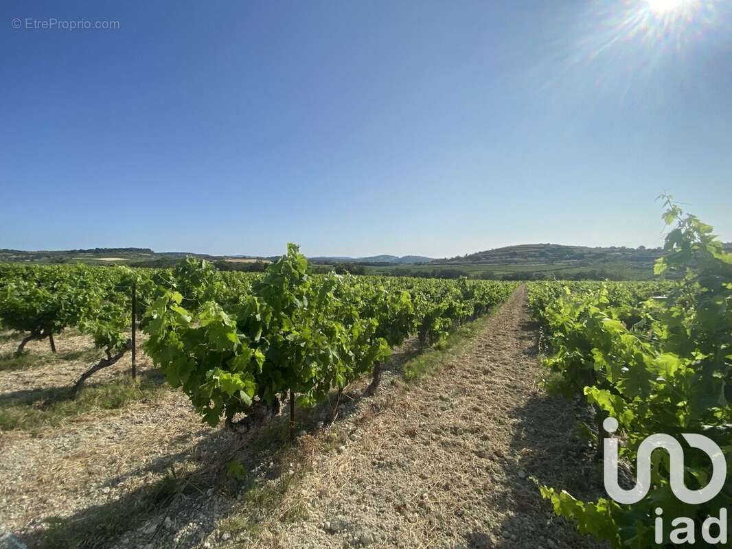 Photo 6 - Terrain à MAGALAS