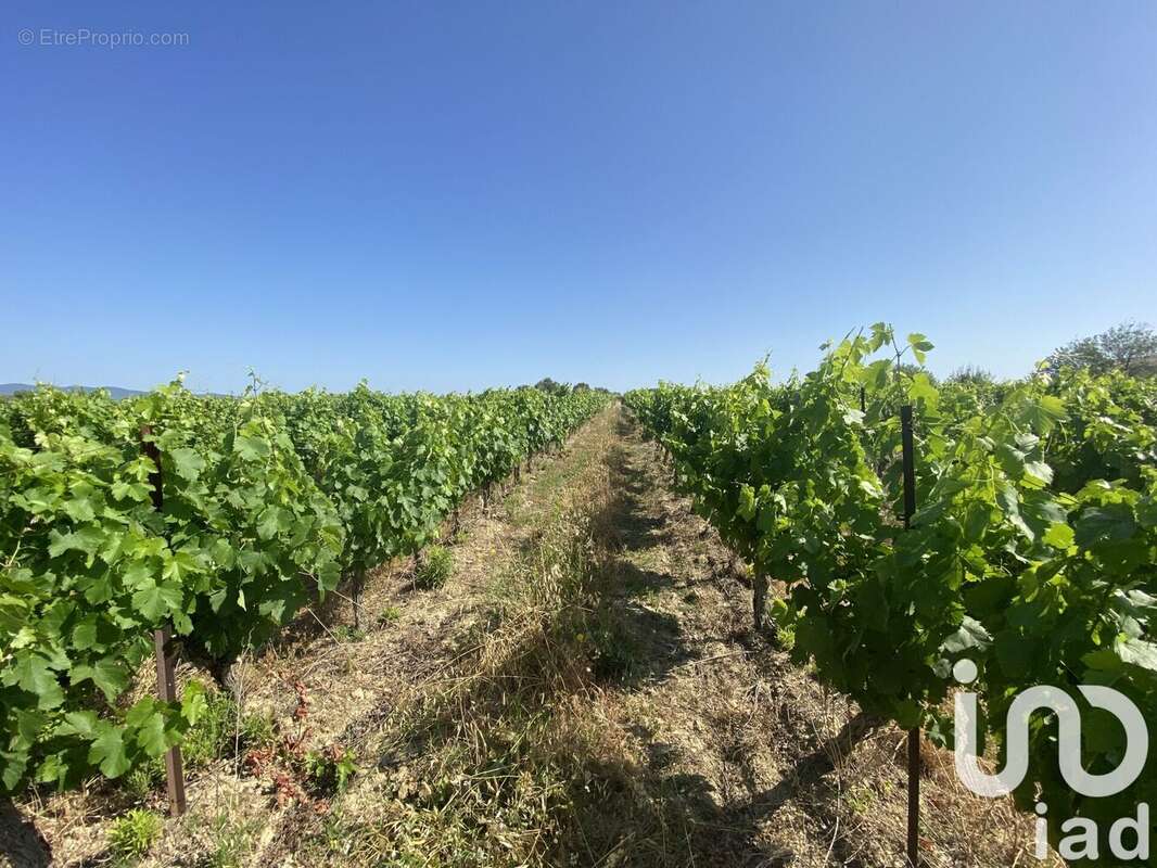 Photo 7 - Terrain à MAGALAS