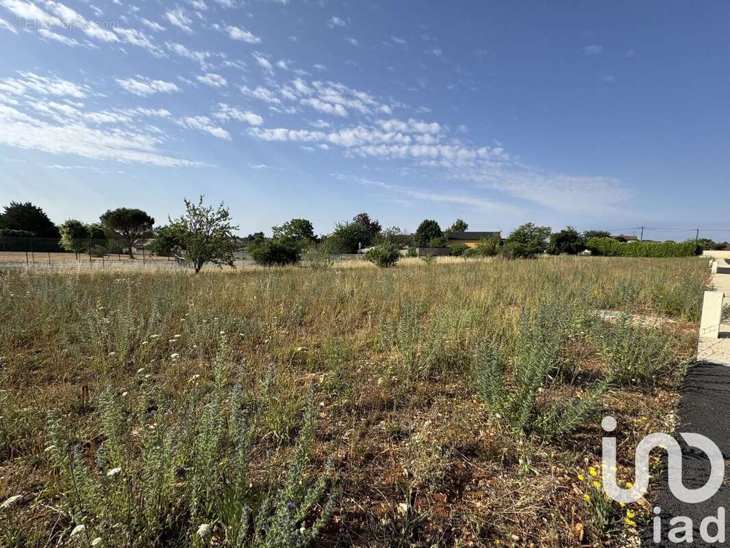 Photo 2 - Terrain à VOUNEUIL-SOUS-BIARD
