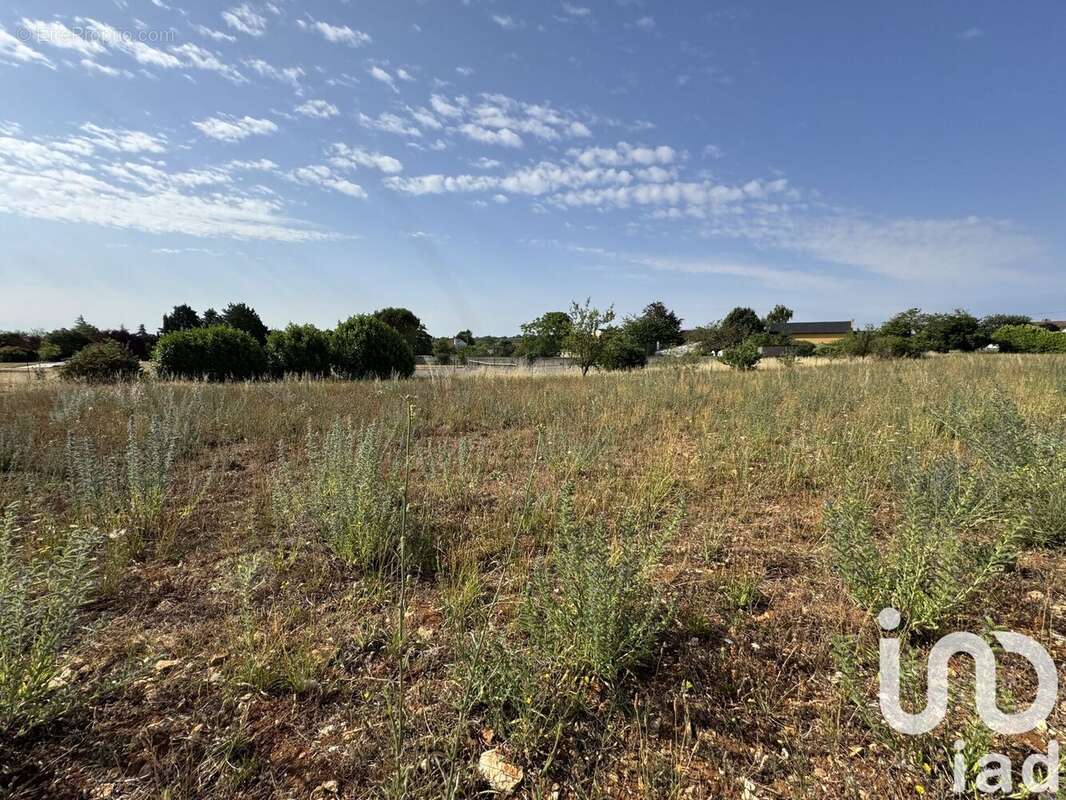 Photo 3 - Terrain à VOUNEUIL-SOUS-BIARD