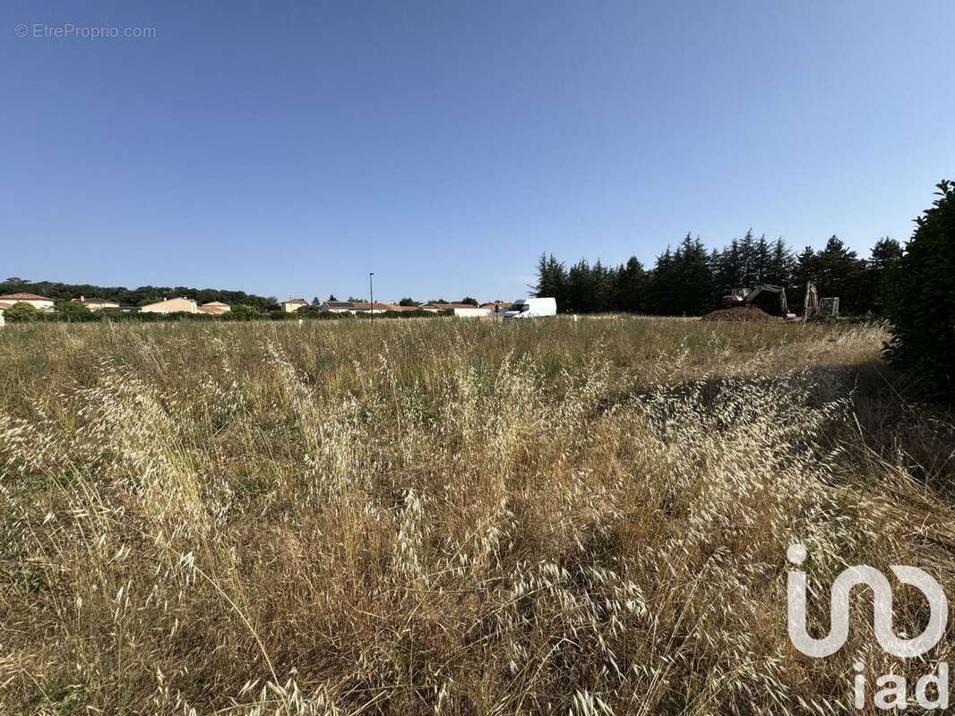 Photo 5 - Terrain à VOUNEUIL-SOUS-BIARD