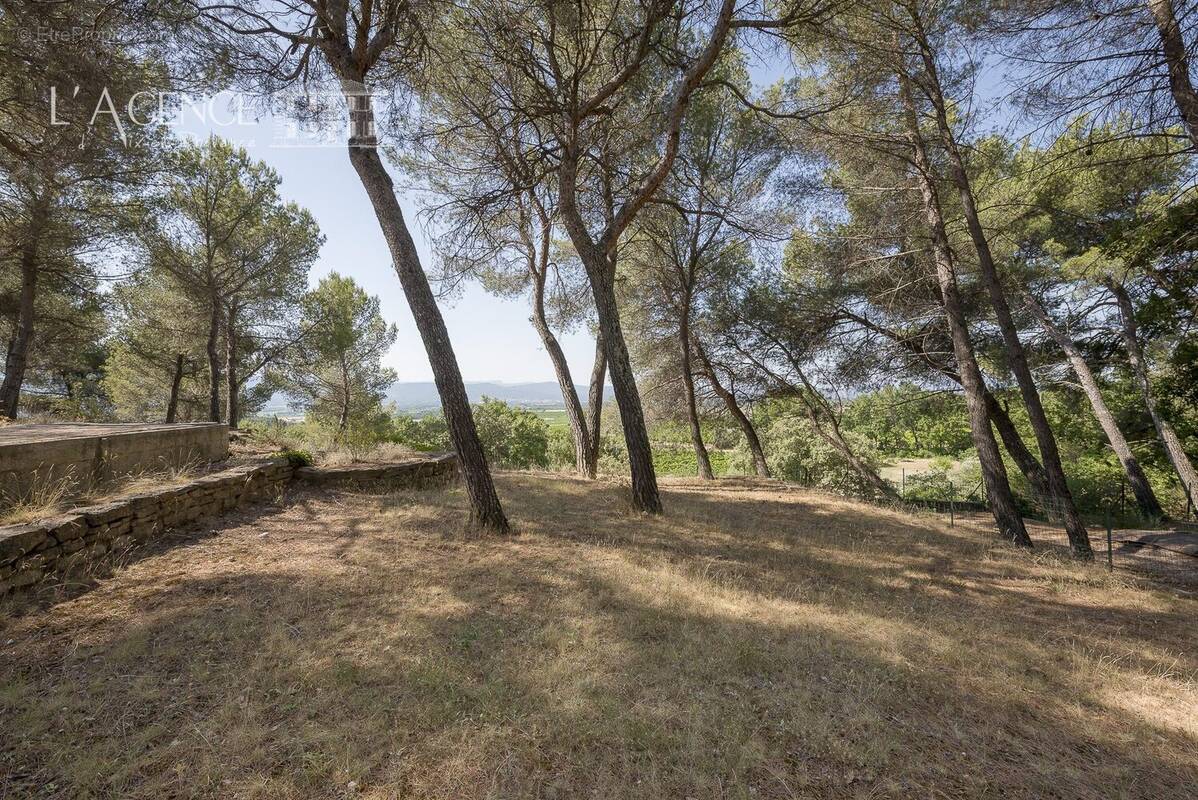 Terrain à PUYLOUBIER