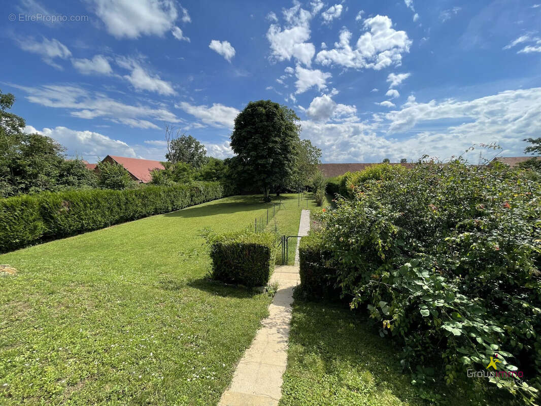 Maison à MITTELSCHAEFFOLSHEIM