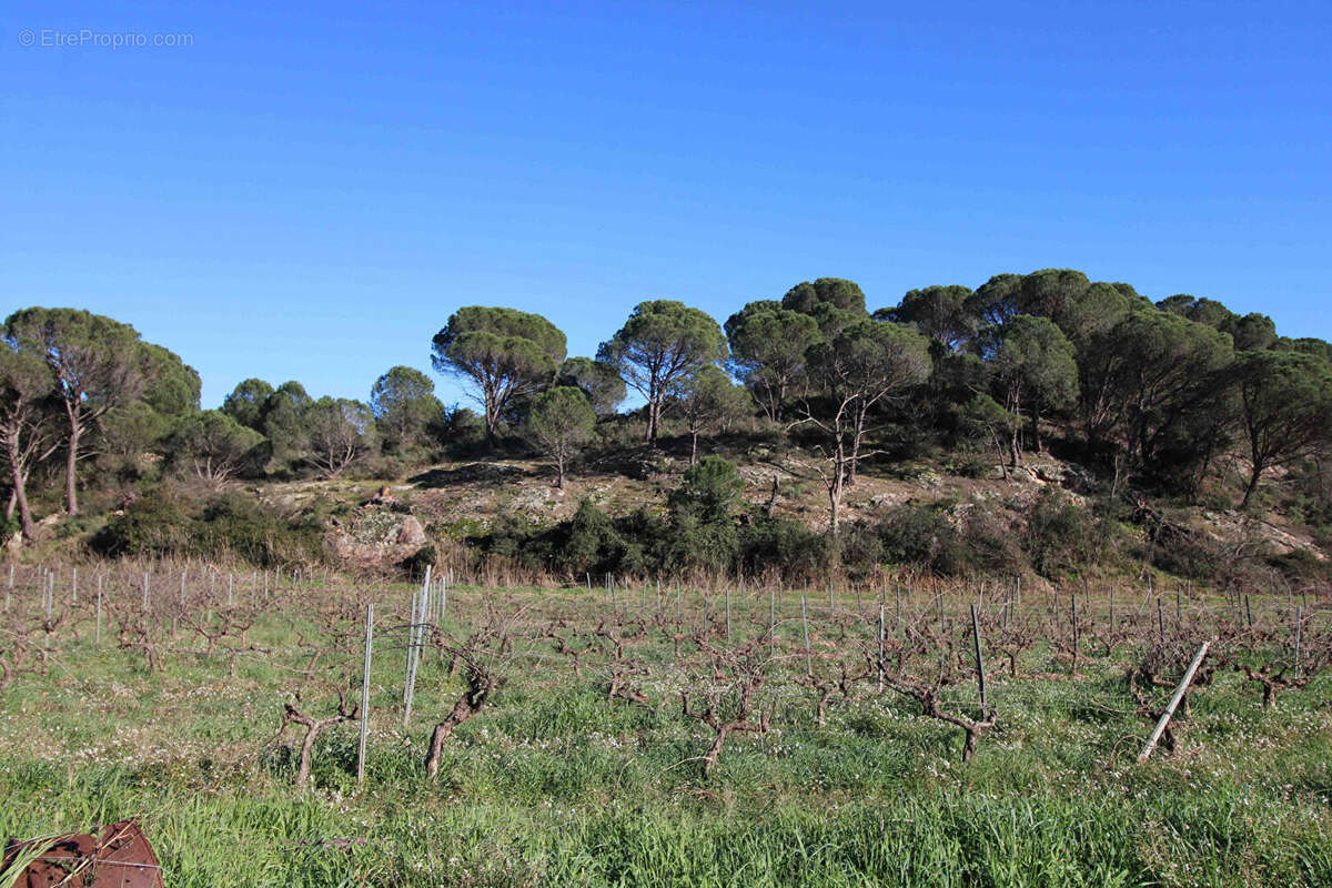 Maison à DRAGUIGNAN