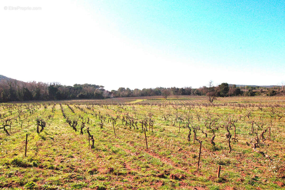 Maison à DRAGUIGNAN