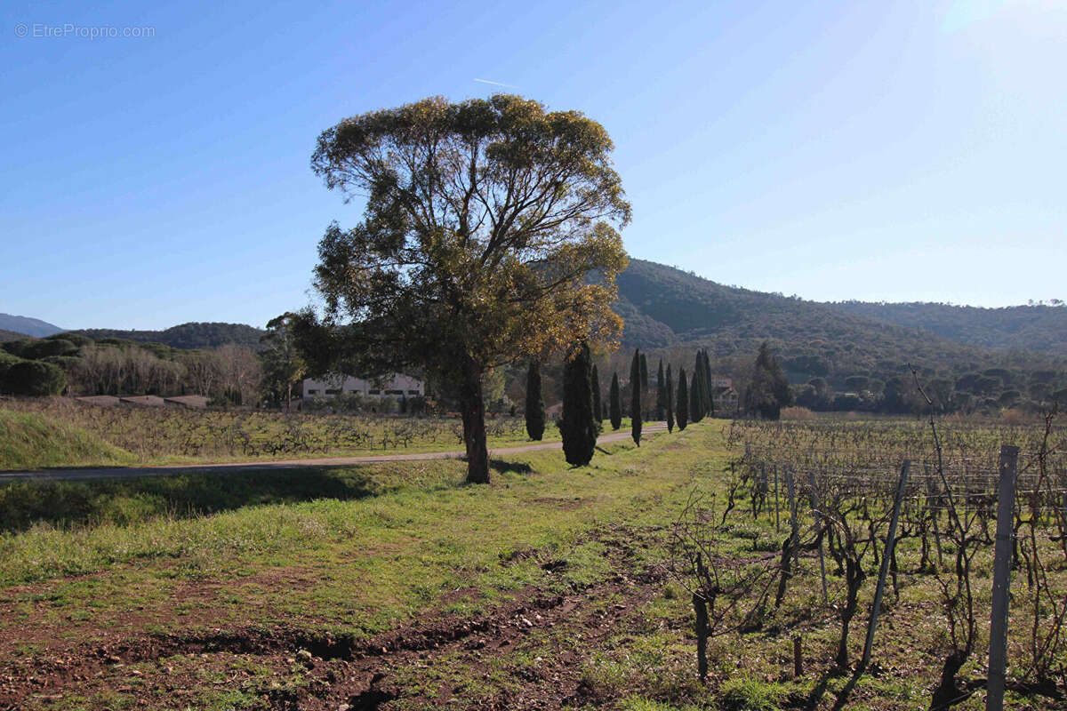 Maison à DRAGUIGNAN