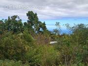 Terrain à LE TAMPON