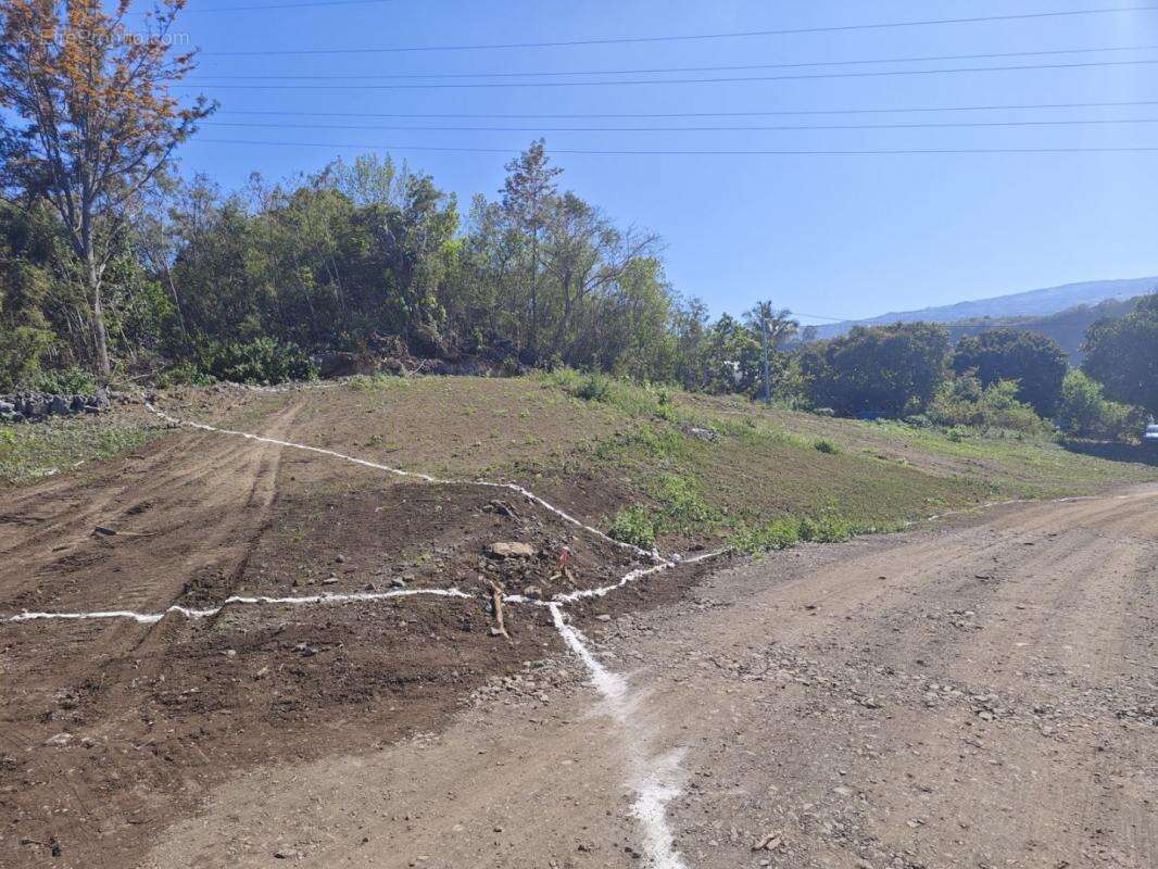 Terrain à SAINT-LOUIS