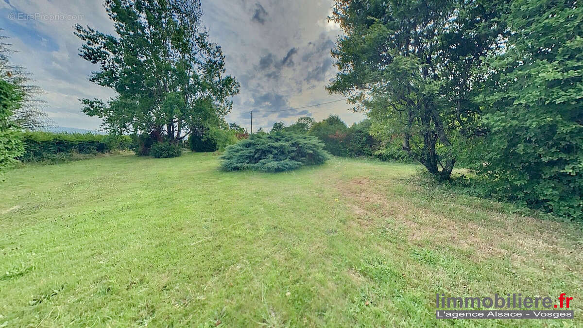 Terrain à NAYEMONT-LES-FOSSES