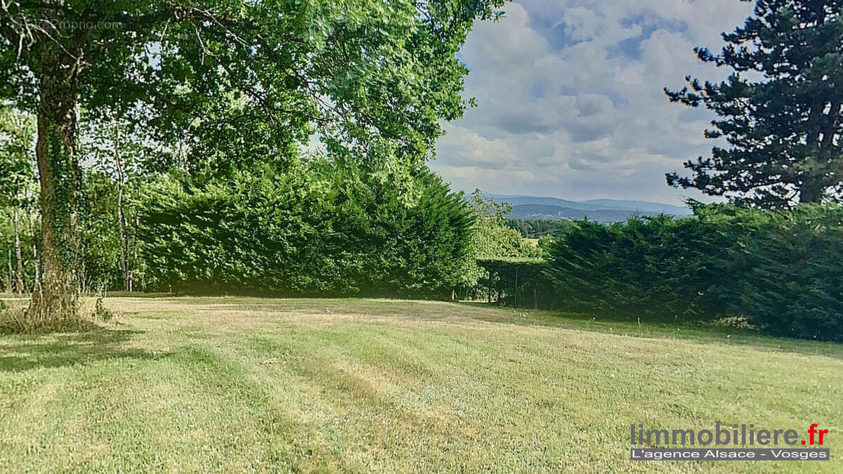 Terrain à NAYEMONT-LES-FOSSES