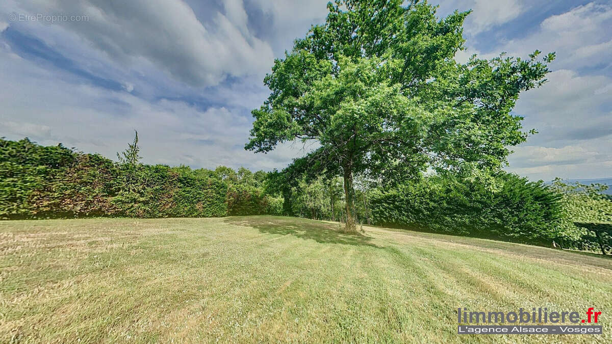 Terrain à NAYEMONT-LES-FOSSES