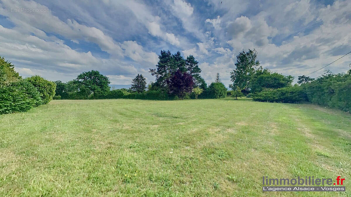Terrain à NAYEMONT-LES-FOSSES