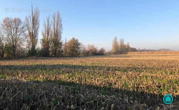 Terrain à BATTENHEIM