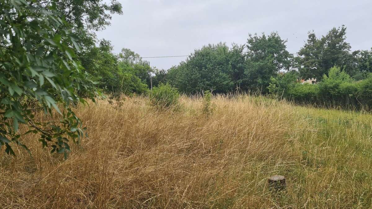 Terrain à MAGNAC-SUR-TOUVRE