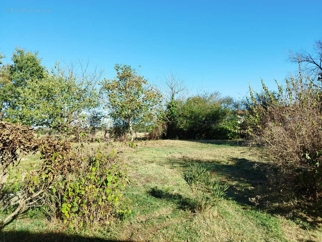 Maison à SAINT-SULPICE-SUR-LEZE